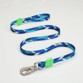 Lindo Dogs Blue Dream Mavi Yeşil Small Köpek Gezdirme Kayışı