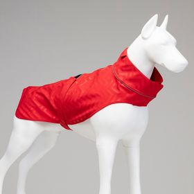 Lindo Dogs Kırmızı Beden 7 Softshell Red Stripe Köpek Yağmurluğu