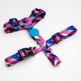 Lindo Dogs Pink Dream H Tipi Mavi Pembe Small Köpek Göğüs Tasması