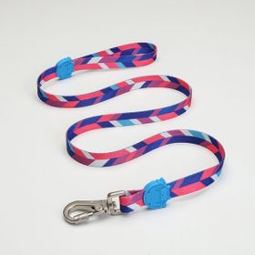 Lindo Dogs Pink Dream Mavi Pembe Medium Köpek Gezdirme Kayışı