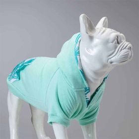 Lindo Mint Green 3 Köpek Sweatshirt