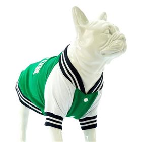 Lindodogs College Boston Yeşi 0 Küçük Orta ve Büyük Irk Köpek Sweatshirt