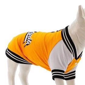 Lindodogs College California Sarı 0 Küçük Orta ve Büyük Irk Köpek Sweatshirt
