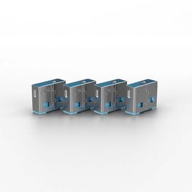 Lindy LIN-40462 10x Usb Port Kilidi