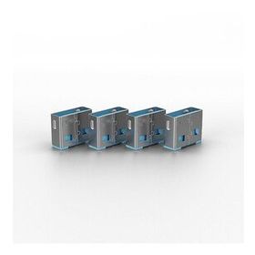 Lindy LIN-40462 10x Usb Port Kilidi