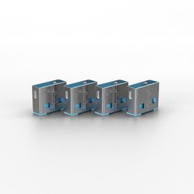 Lindy LIN-40462 10x Usb Port Kilidi