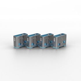 Lindy LIN-40462 10x Usb Port Kilidi