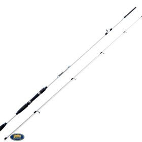 Lineaeffe 2.10 mt 40 gr Saltwater Spin Spinning Kamışı