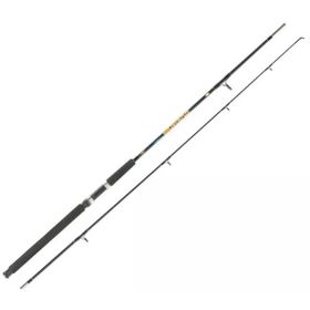Lineaeffe Mustang 100-250 gr 2 Parça Tekne Kamışı