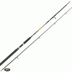 Lineaeffe Mustang 240 cm 100-250 gr Olta Kamışı