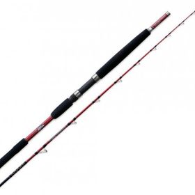 Lineaeffe Slow Jigging Boat 210 cm 80-160 g Trolling Kamışı