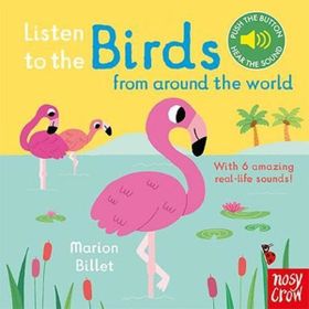 Listen to the Birds From Around the World - Nosy Crow Yayınları