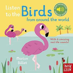 Listen to the Birds From Around the World - Nosy Crow Yayınları
