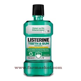 Listerine Teeth Gum Defence 250 ml Gargara