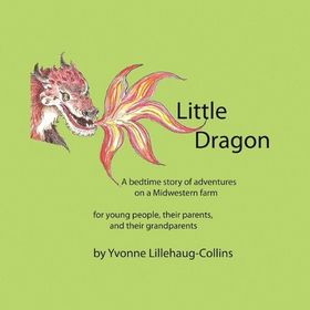 Little Dragon - Rhiannon Fielding