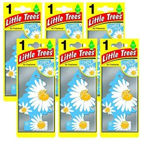 Little Trees Daisy Chain Papatya Oto Kokusu