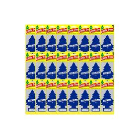 Little Trees New Car Scent Oto Kokusu
