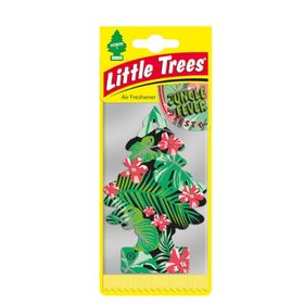 Little Trees Orman Ateşi Oto Kokusu