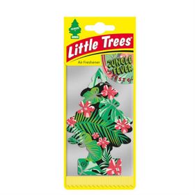 Little Trees Orman Ateşi Oto Kokusu
