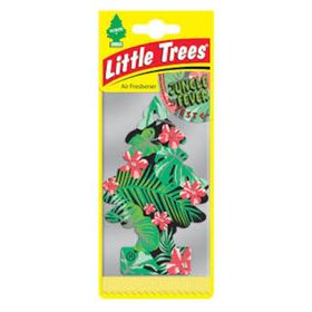 Little Trees Orman Ateşi Oto Kokusu