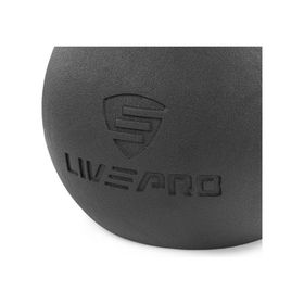 Livepro LP8047 16 kg Ballbell Dambıl