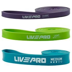 Livepro LP8410-1 3'lü Direnç Lastiği Kapı Aparatı Seti