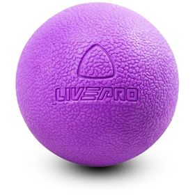 Livepro LP8501 Masaj Topu