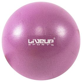 Liveup LS3225 25 cm Mini Pilates Topu