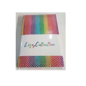 Liz Rainbow Suni Deri 17x24 168 YP Çizgili Defter