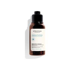 L'OCCITANE 75 ml Arındırıcı Canlandırıcı Şampuan