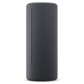 Loewe We Hear 2 Siyah Gri Bluetooth Hoparlör