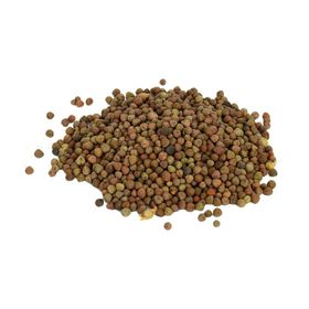 Lokman 100 gr Burçak Tohumu