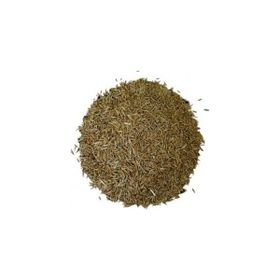 Lokman Aktar 1 kg Çim Tohumu