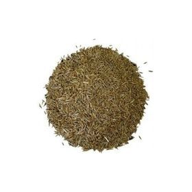 Lokman Aktar 1 kg Çim Tohumu