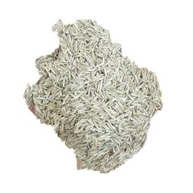 Lokman Aktar 1 kg Çim Tohumu