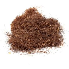 Lokman Aktar 1 kg Mısır Püskülü
