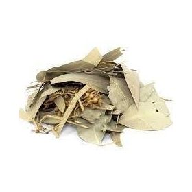 Lokman Aktar 50 gr Okaliptus Yaprağı