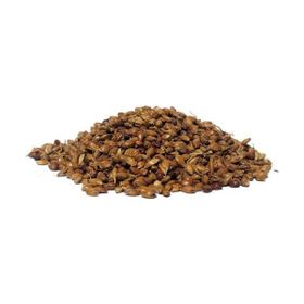 Lokman Aktar 50 gr Süpürge Otu Tohumu