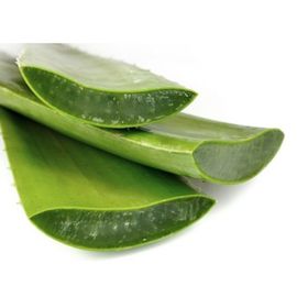 Lokman Aktar Aloevera Balsam 500Ml