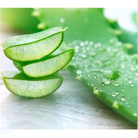 Lokman Aktar Aloevera Balsam 500Ml