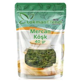 LokmanAvm 40 gr Mercan Köşk