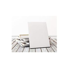 Lona Profesyonel 70x100 cm Tuval