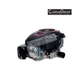 Loncin Lc1P92F-1 Dikey Milli Motor