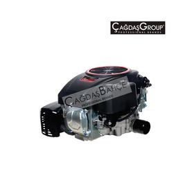Loncin Lc1P92F-1 Dikey Milli Motor