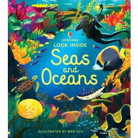 Look Inside Seas And Oceans-Usborne Publishing