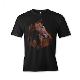 Lord T-Shirt At 1 Siyah Erkek T-shirt