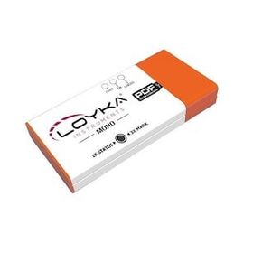 Loyka Mono Tek Kullanımlık Sıcaklık Kayıt Cihazı