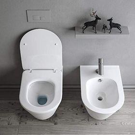 Lucco Avva 53 cm Rim Art Asma Beyaz Klozet