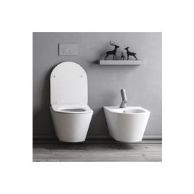 Lucco Avva 53 cm Rim Art Asma Beyaz Klozet