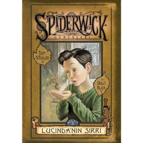 LUCİNDA'NIN SIRRI SPIDERWICK GÜNCELERİ 3 - TONY DITERLIZZI